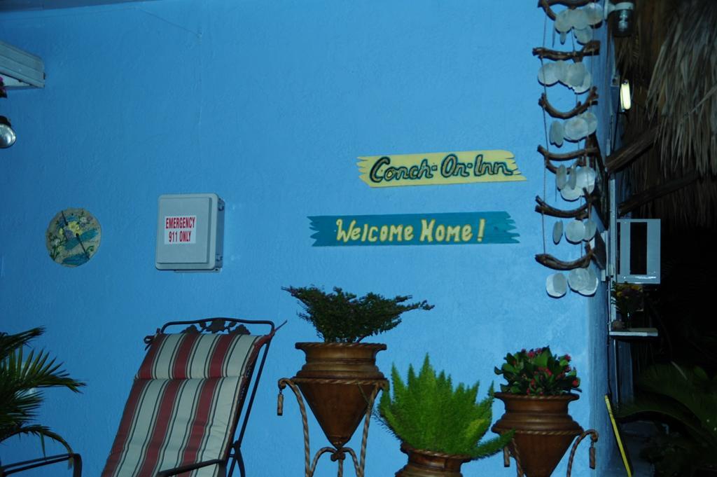 Conch On Inn Motel Tavernier Εξωτερικό φωτογραφία
